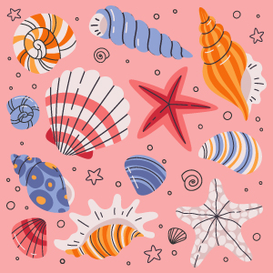 Image for event: Seashell Hunt