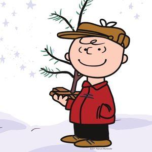 Image for event: Merry Christmas, Charlie Brown Exhibit